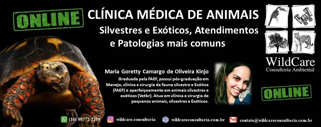 Capas Even3 – Clínica Médica Maria Goretty (Sem data) Capas Even3 – Clínica Médica Maria Goretty (Sem data)