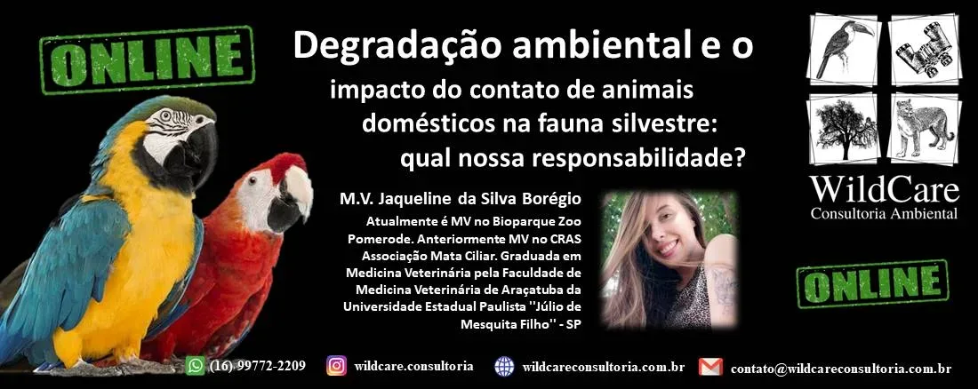 Capas Even3 – Degradação Ambiental Jaqueline Borégio (sem data)