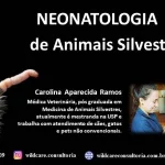 Neonatologia de Animais Silvestres
