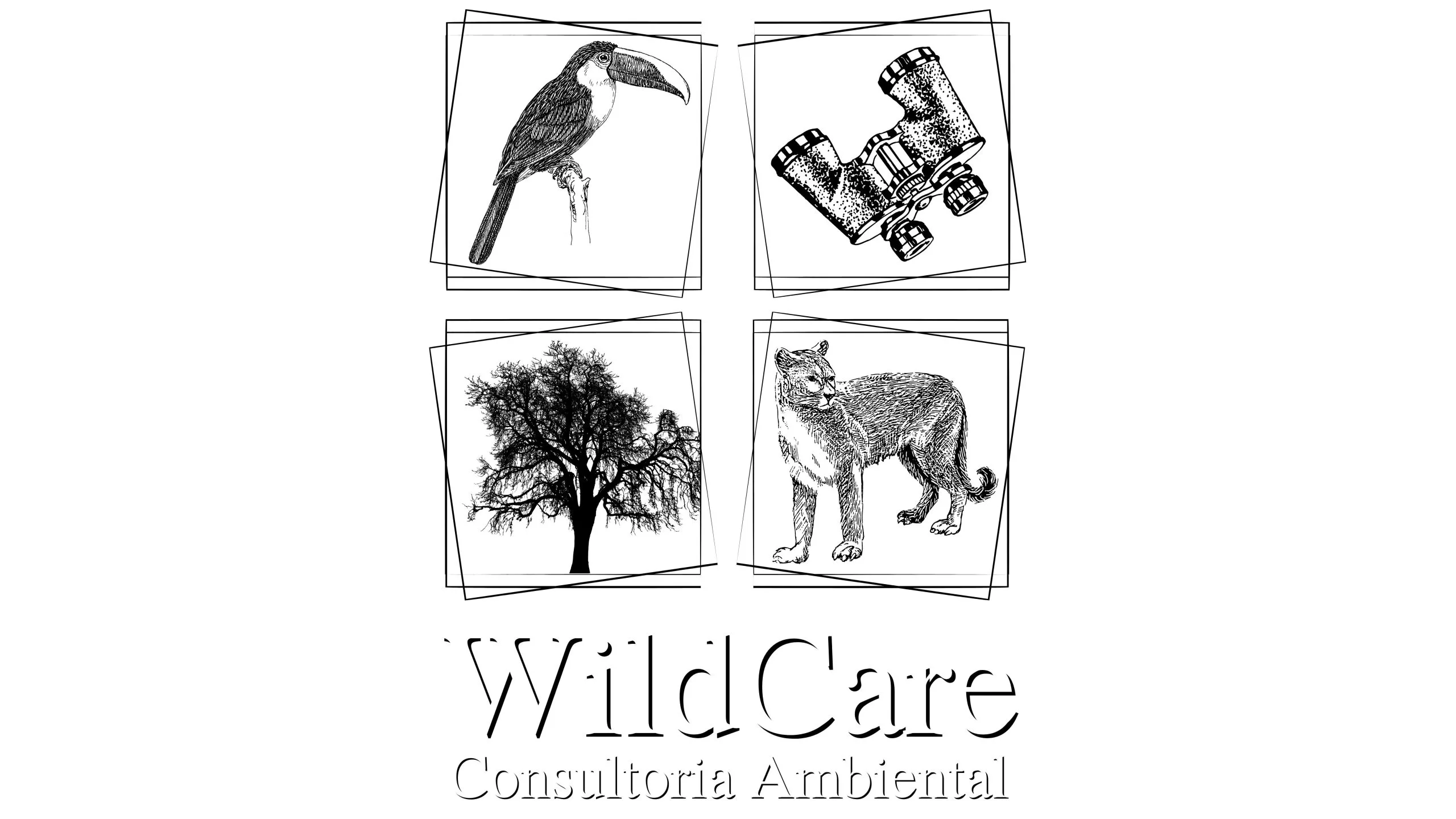 WildCare Cursos e Palestras