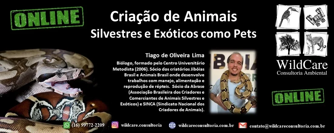 Criação de Animais Silvestres e Exóticos como PETS