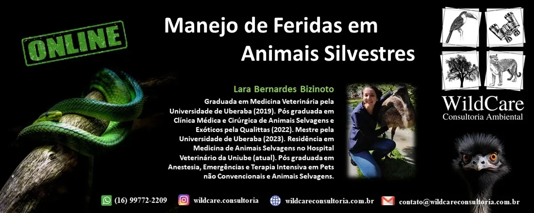 Manejo de Feridas em Animais Silvestres