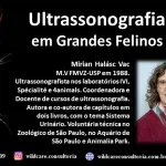 Ultrassonografia em Grandes Felinos