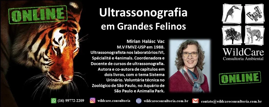 Ultrassonografia em Grandes Felinos